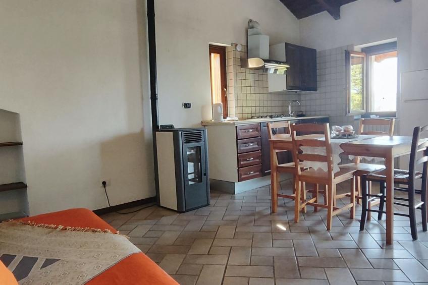 Vergissmeinnicht - foto 15