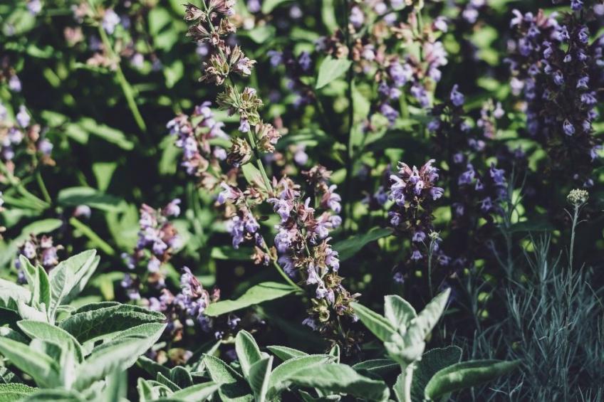 Mediterranes Haus mit privatem Garten und Pool - foto 32