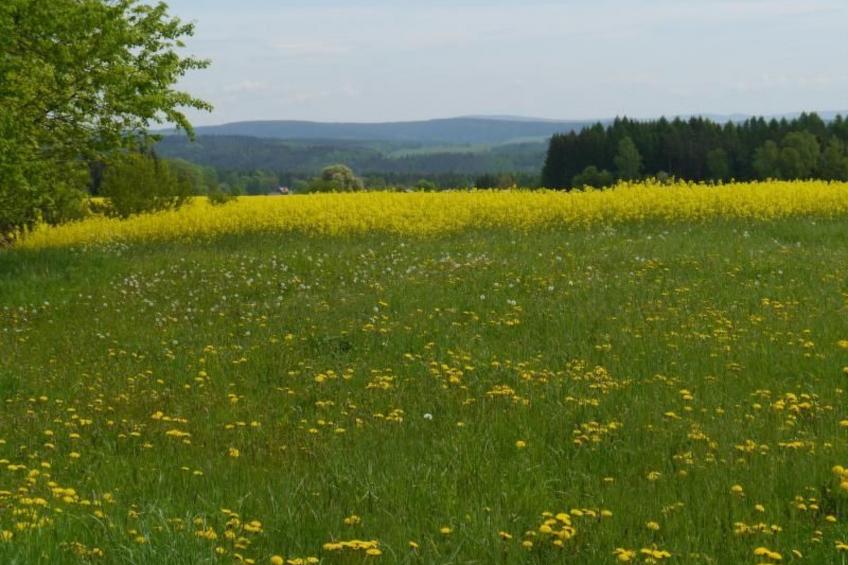 Gästehaus Siebert - foto 30