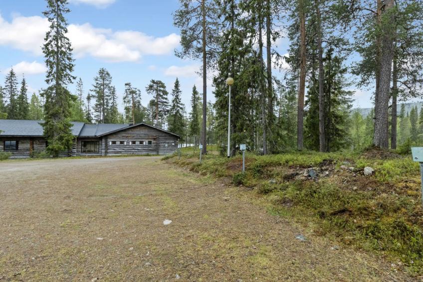 Metsä-luosto - foto 25