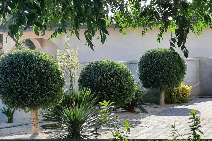 Apartment Stella Casa Bruno - Two Bedroom Apartment - foto 16