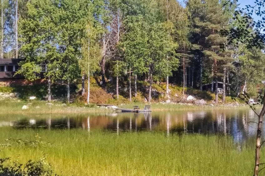 Koli, kiviranta - foto 5