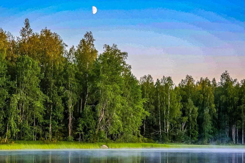 Vaikon loma ja lohi - foto 54