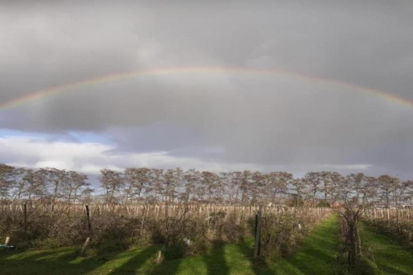 Standaard 211 - foto 12