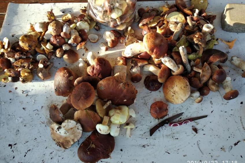 Fachwerkhaus "Paula" mit Blick auf das Wasser - foto 37