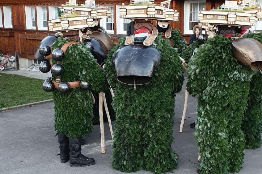 Alpakahof Ferien - foto 47