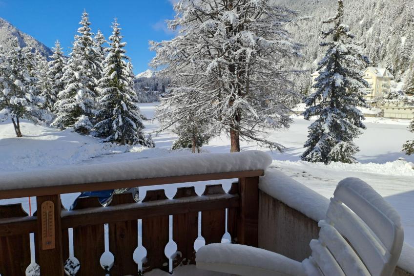 Renaissance 8 - foto 28