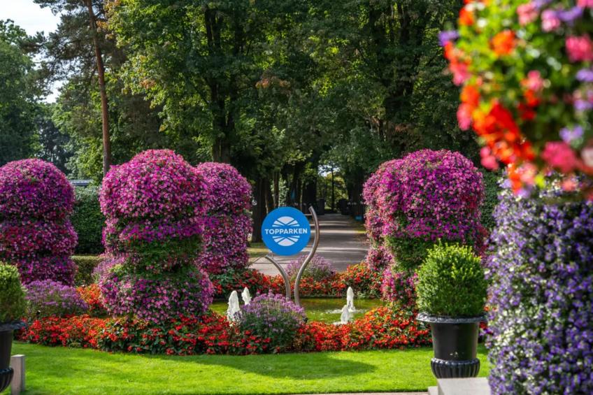 Module special 5 people - foto 11