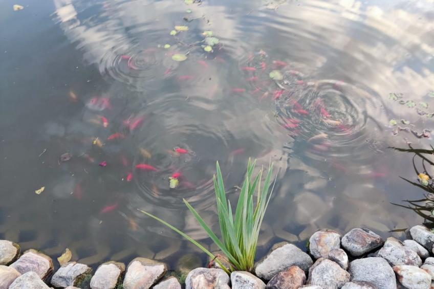 mit Terrasse - foto 22