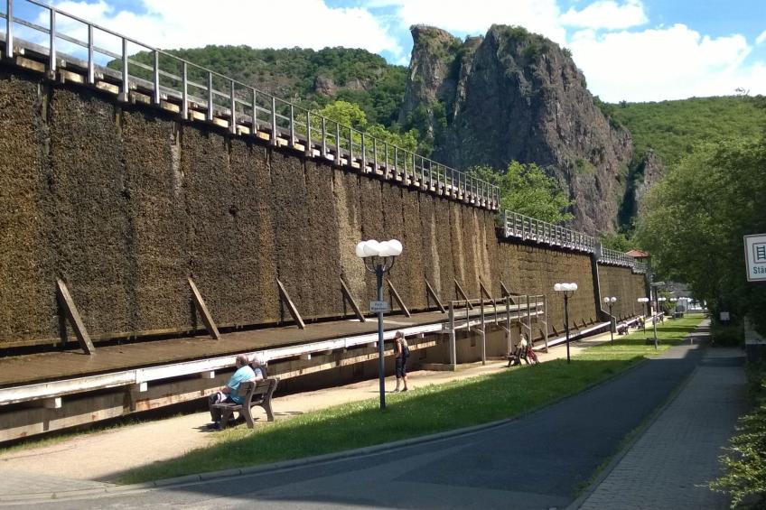 Gemütliche Ferienwohnung in Ebernburg - foto 4