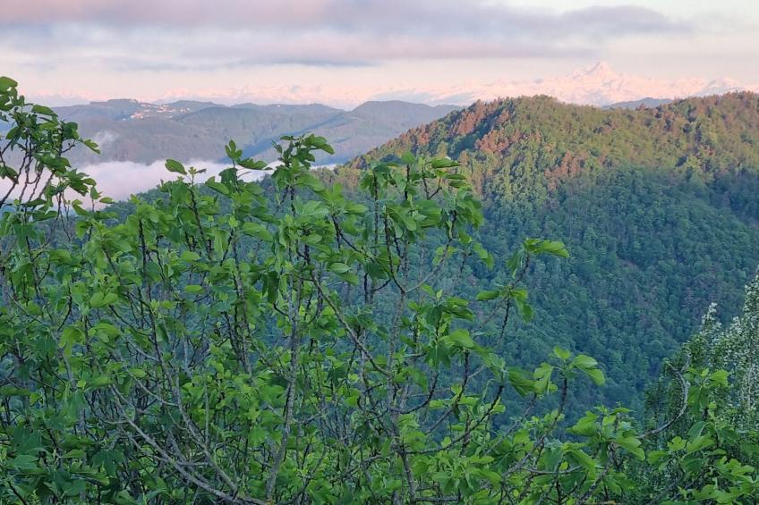 Cascina Bricco - Perletto Ferienwohnung - foto 28