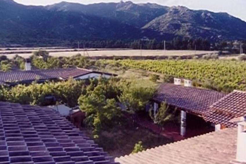 Natur, ökologische Nachhaltigkeit, nur für Erwachsene, Meer in der Nähe - foto 25