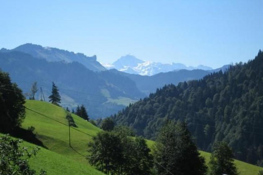 Biobauernhof Balm - foto 9