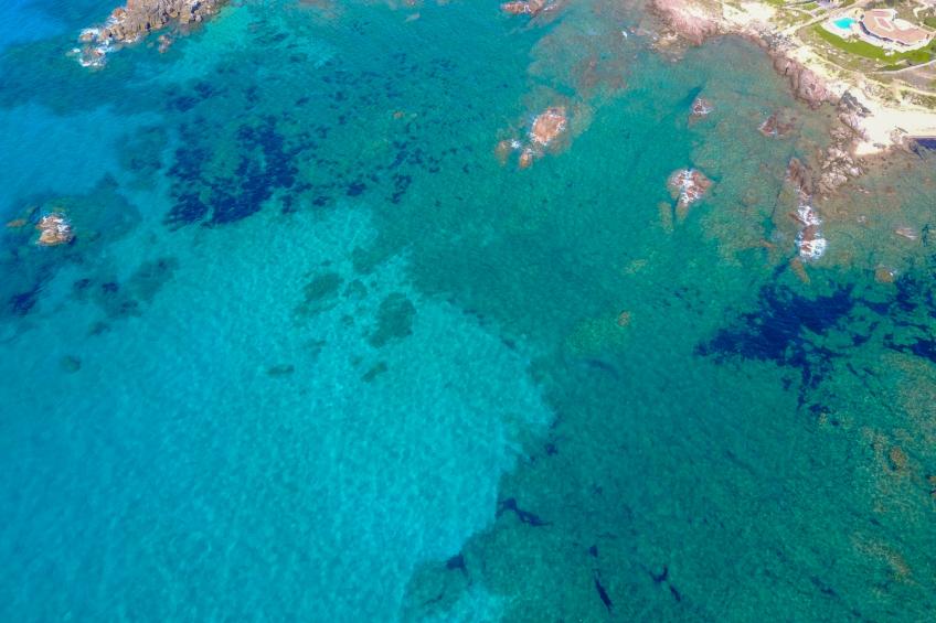 Maximilian - foto 30