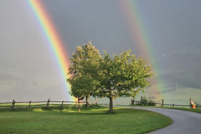 Kulmer Hof - foto 25