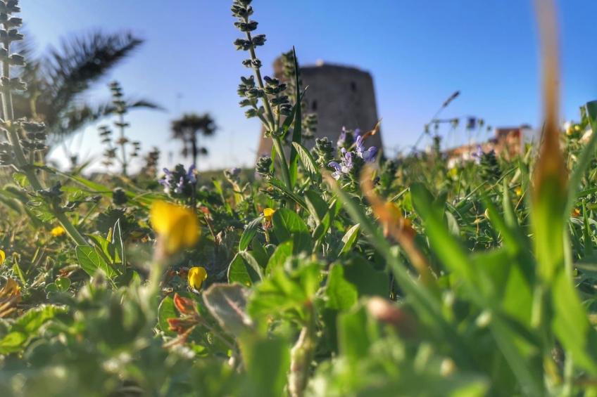 Apartment Zeus in Torre Mozza - foto 15