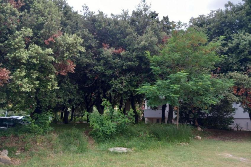 Guest House Green Corner Palit - One Bedroom Apartment - foto 35