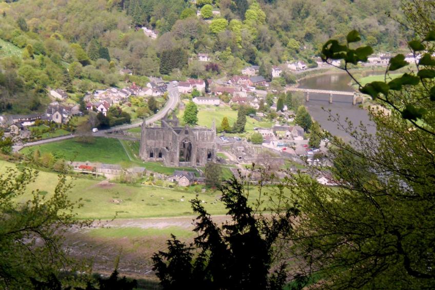 Cottage "Foxes Reach" mit Whirlpool - foto 21