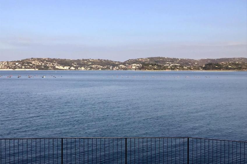 Klimatisierte Wohnung in Valica mit Großem Garten - foto 38