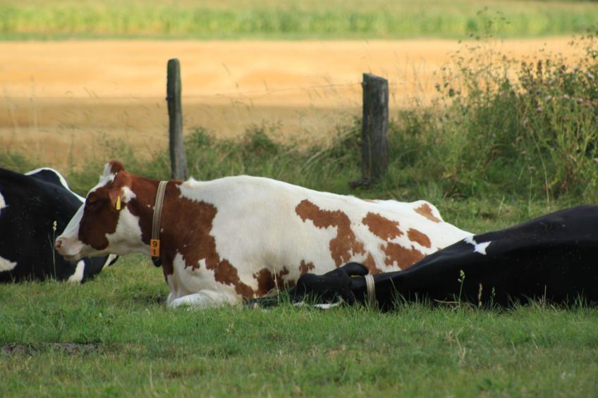 Fewo "Jut Stuff" - foto 41