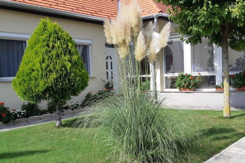 in Bük im Parterre mit Garten