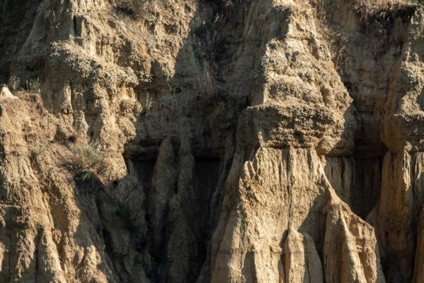 Wohnung in gemütlichem kleinen Bauernhaus - foto 45