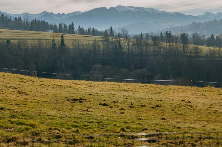 Góralskie Zacisze - foto 36