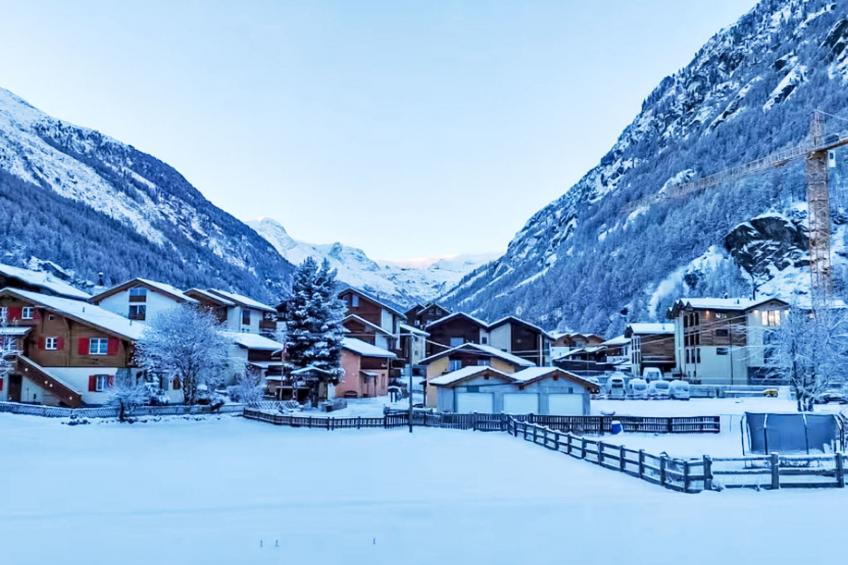 Alpenperle - foto 3