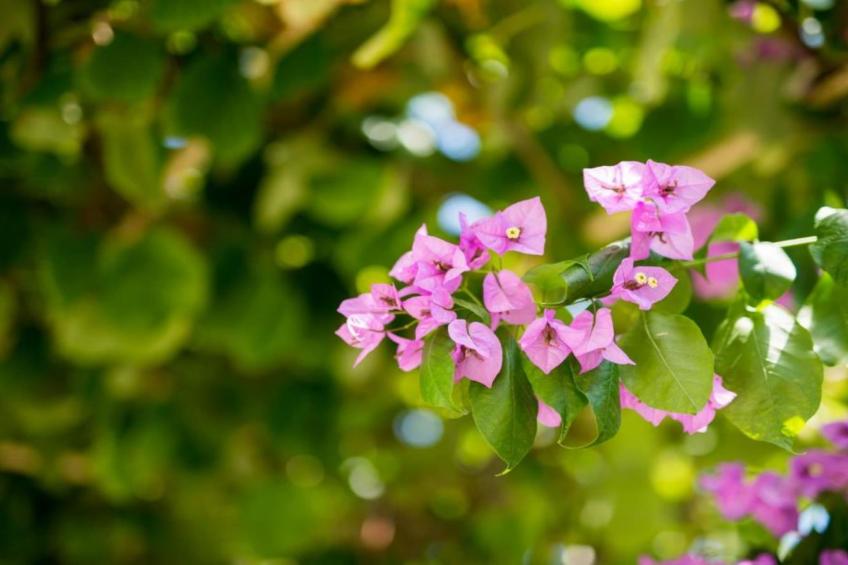 One-Bedroom Apartment With Lake View - foto 44