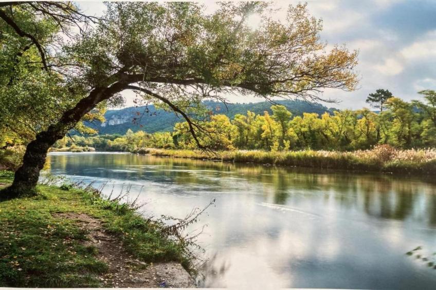 Résidence La Licorne de Haute-Provence 4 - foto 21
