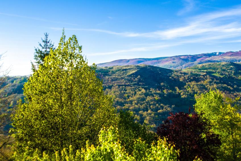 mit Wasserblick - foto 15