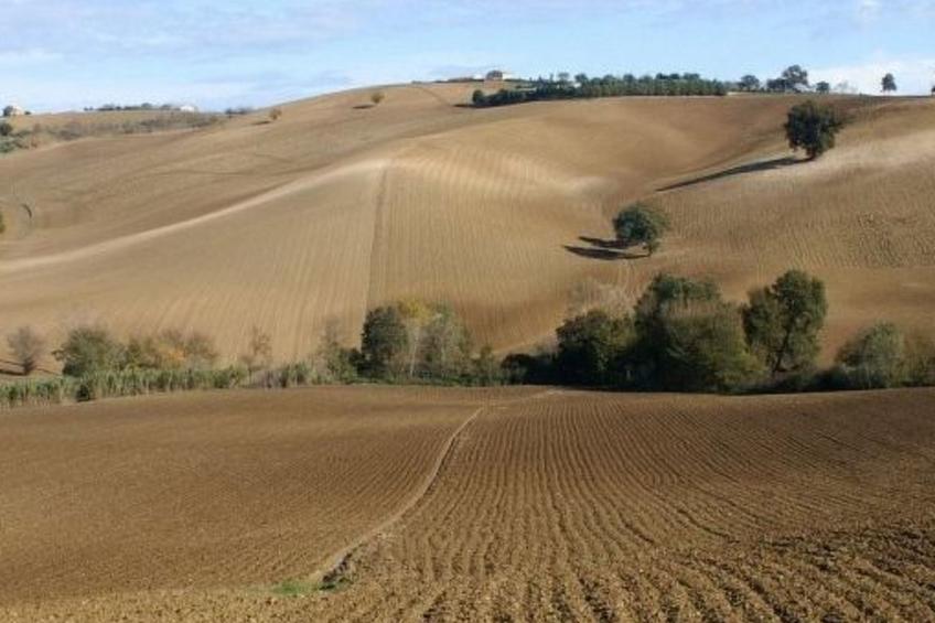 'Casa il Girasole' - foto 8