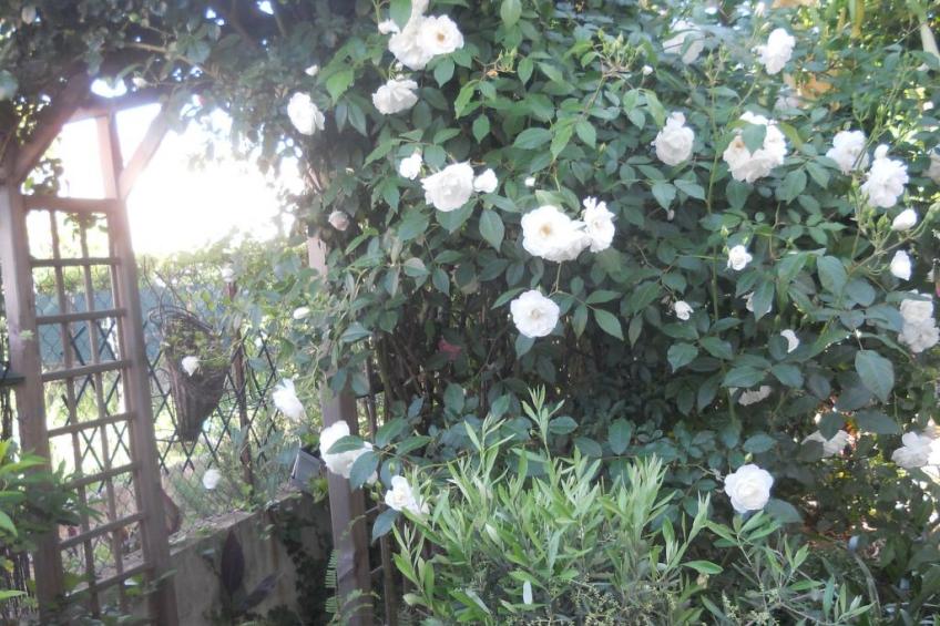 Wohnung "Les roses" auf einem eingemauerten Grundstück - foto 5