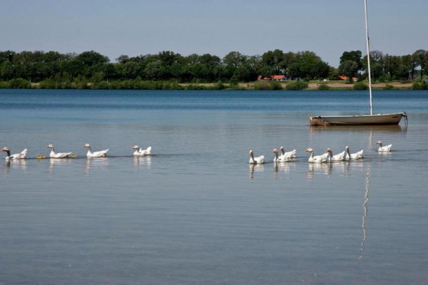 Maaspark Boschmolenplas - foto 31