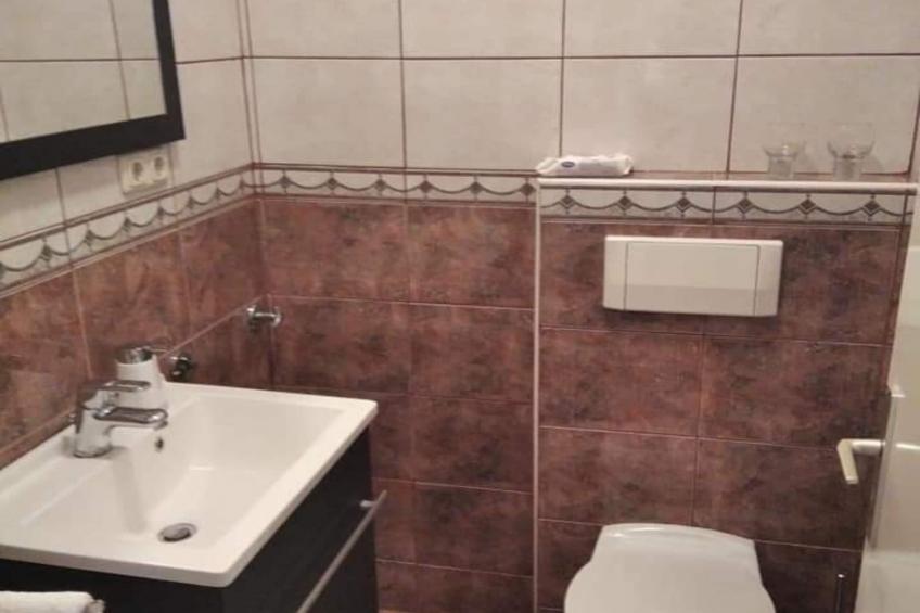 Holiday Home Dugo Selo M&A - Five Bedroom Holiday Home with Terrace - foto 13