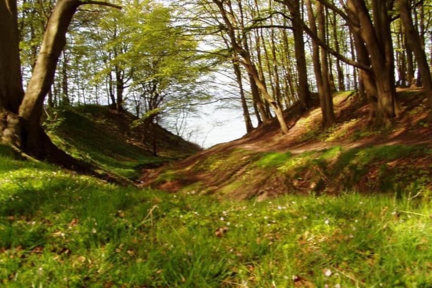 Seeadler 6 - foto 39