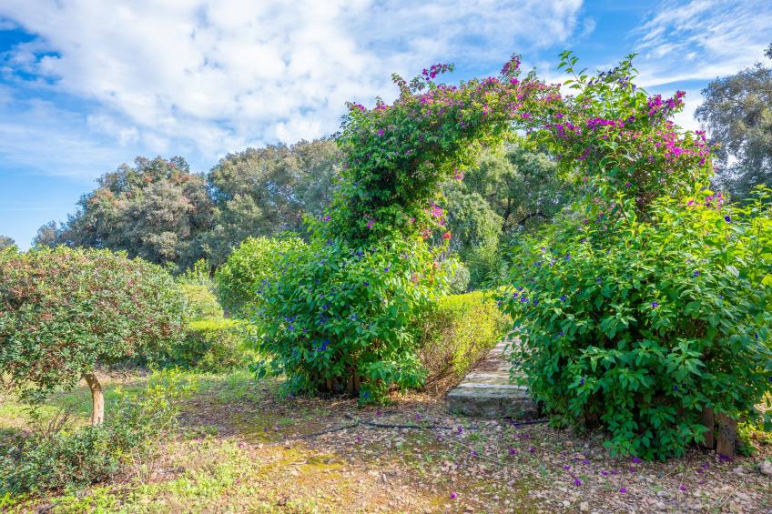 Ca Na Flores - foto 35