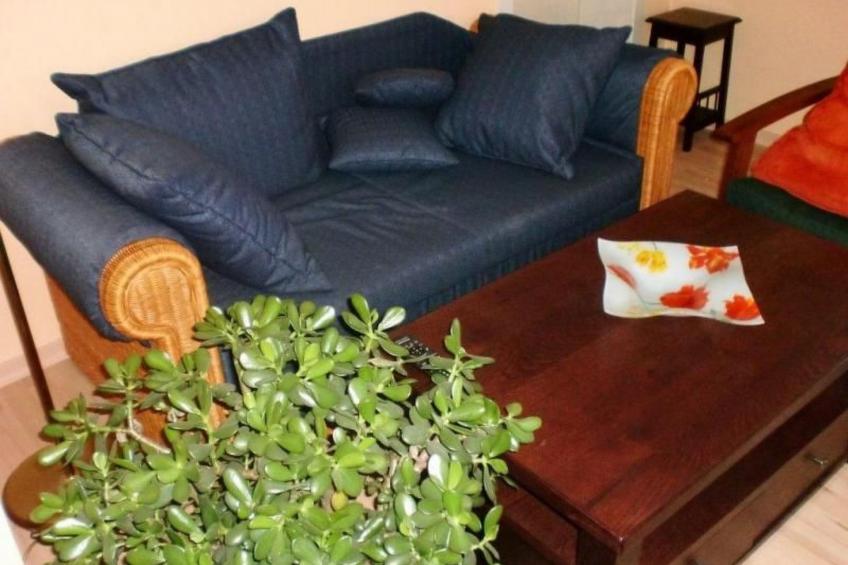 mit Terrasse in ruhiger Lage - foto 6