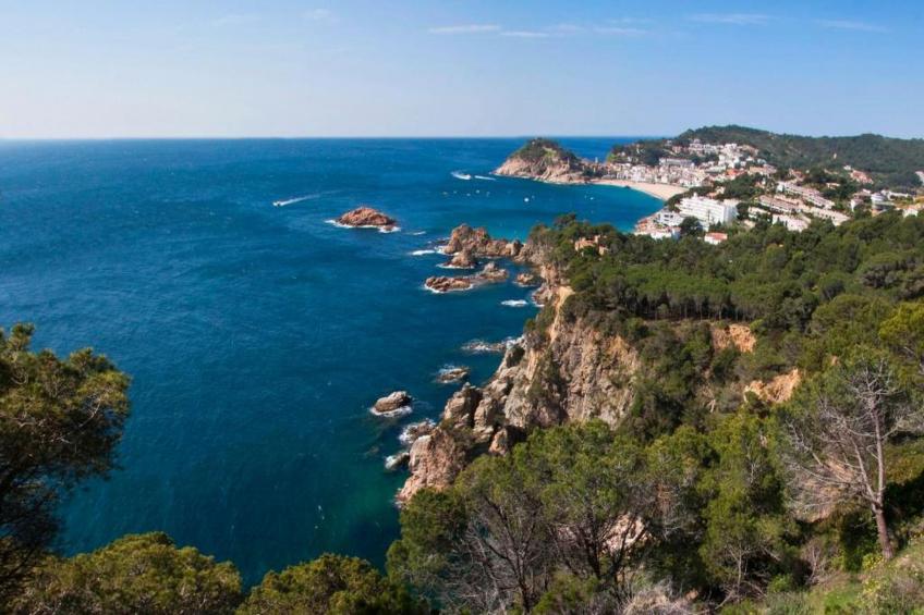 Els Pins- Mobile-Home Premium 3 Nature - foto 35