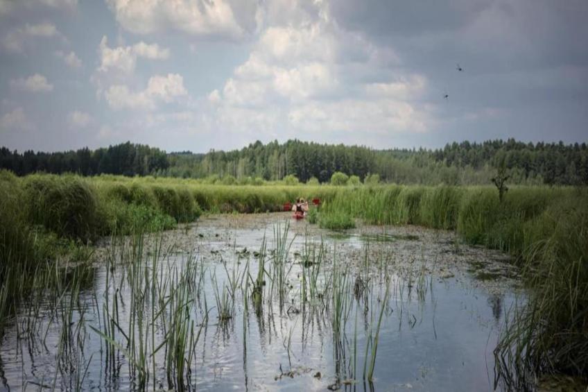 Holiday home Maryna - foto 29