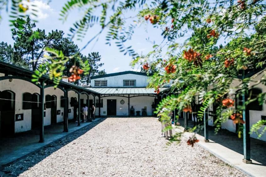 Herdade de Montalvo - foto 24