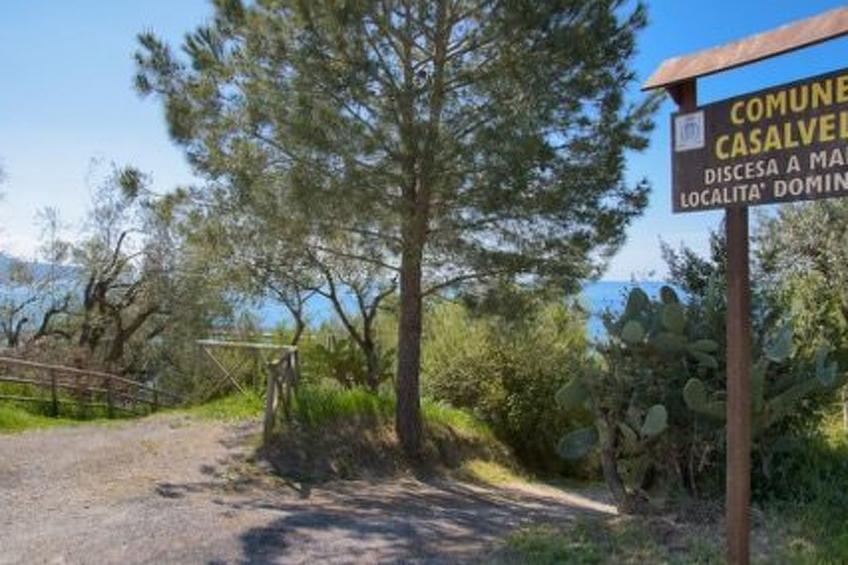 Dominella 3 - Apartment in Casal Velino für bis zu 3 Personen mit Terrasse - foto 17