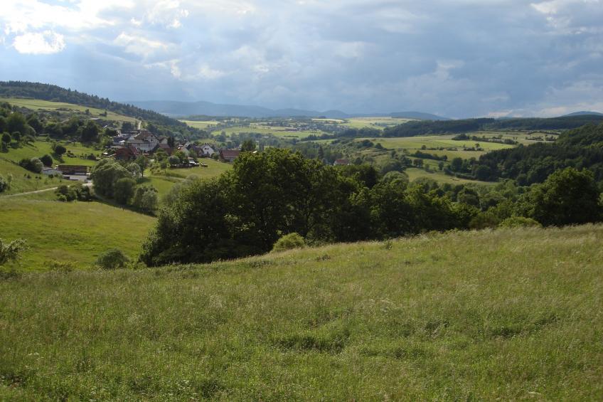 Köster - foto 37