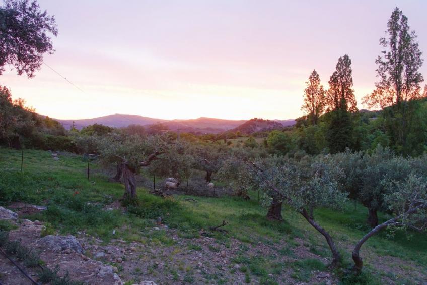 Gemütliches Landhaus Betania in Grazalema - foto 29