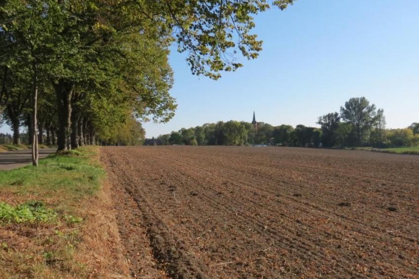 Haus am Wiek - foto 14