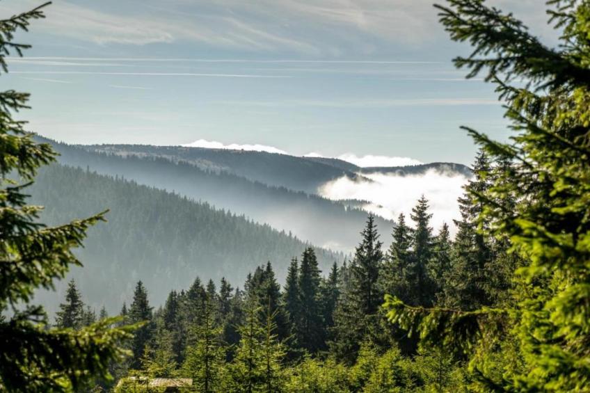 Old Bakery - foto 30