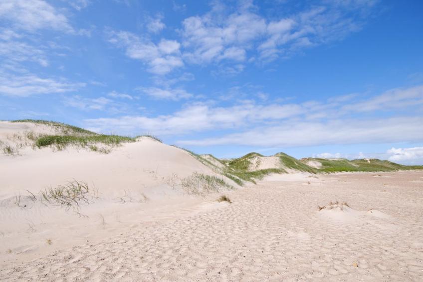 "Gundine" - from the sea in Western Jutland - foto 27