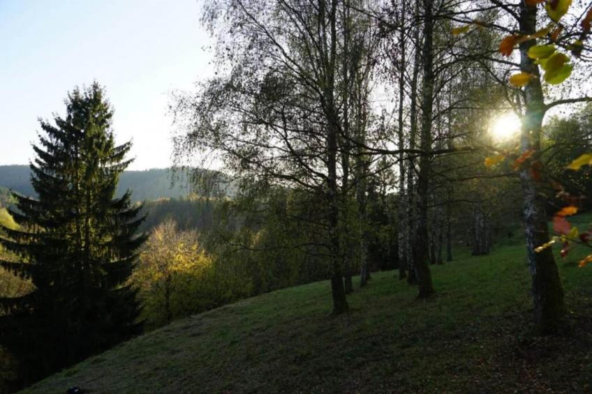 Altes Bootshaus 3 - foto 33