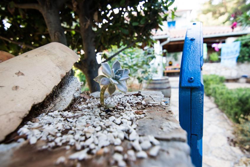 Studio mit schönem Blick auf das Meer - foto 28