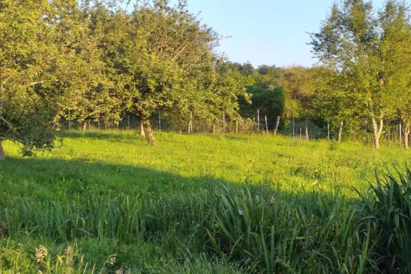 Le Castel - foto 34